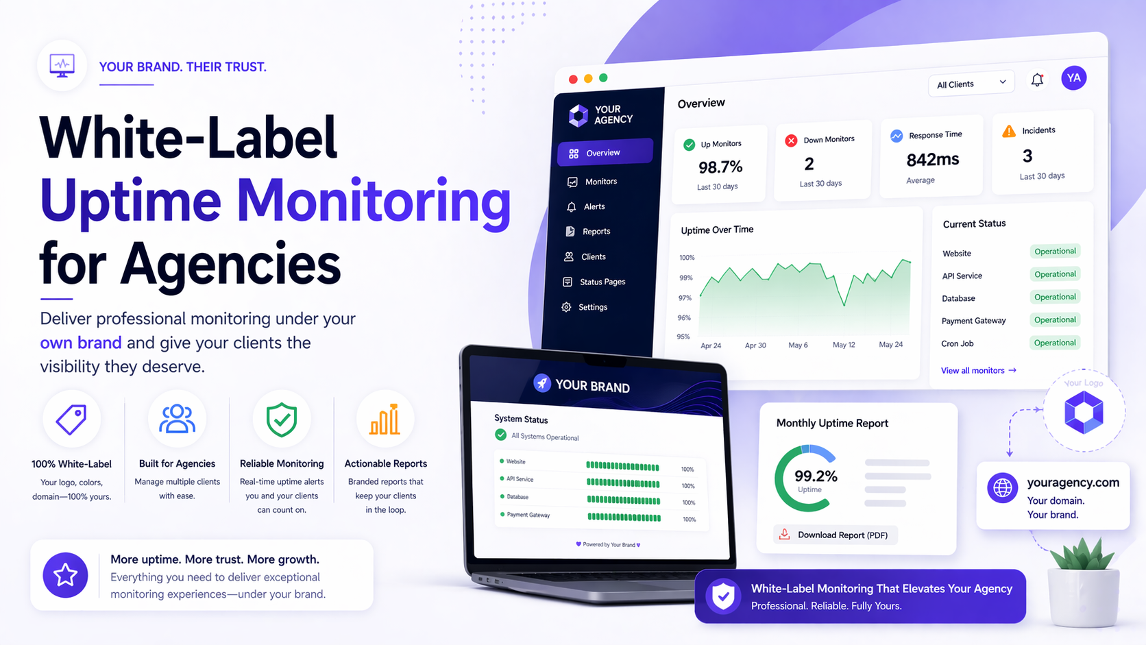 White-Label Uptime Monitoring for Agencies cover image